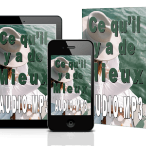 ce qu'il y a de mieux livre audio mp3 ray vincent
