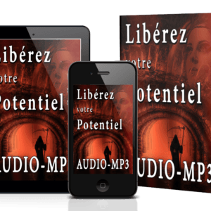 liberez votre potentiel livre audio mp3 ray vincet