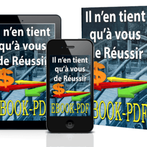 il n'en tient qu'a vous livre ebook pdf ray vincent