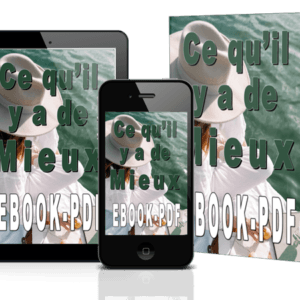 ce qu'il y a de mieux ebook pdf ray vincent
