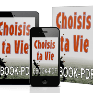 choisis ta vie livre ebook pdf ray vincentvie