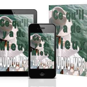 ce qu'il y a de mieux livre audio mp3 ray vincent