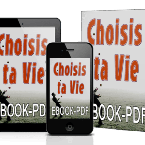 choisis ta vie livre ebook pdf ray vincentvie